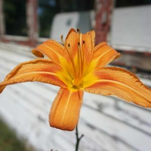 Meet your Posher, Kaitlin